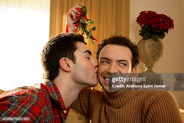 two young men under mistletoe kissing, close-up - anthony peck stock pictures, royalty-free photos & images