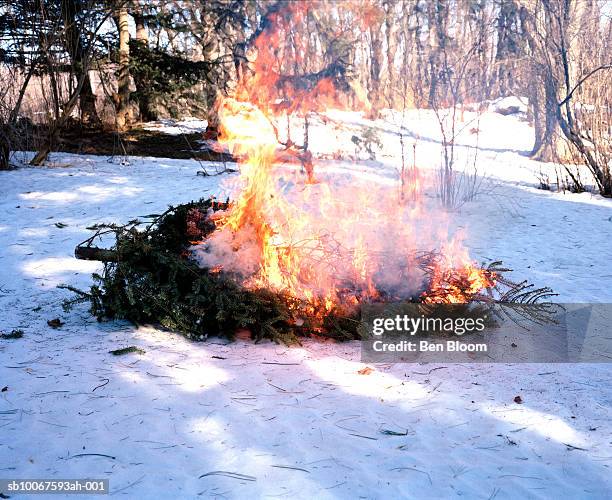 bonfire on snow - bonfire stock pictures, royalty-free photos & images