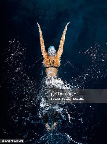 swimmer in motion, view from above - nuoto foto e immagini stock