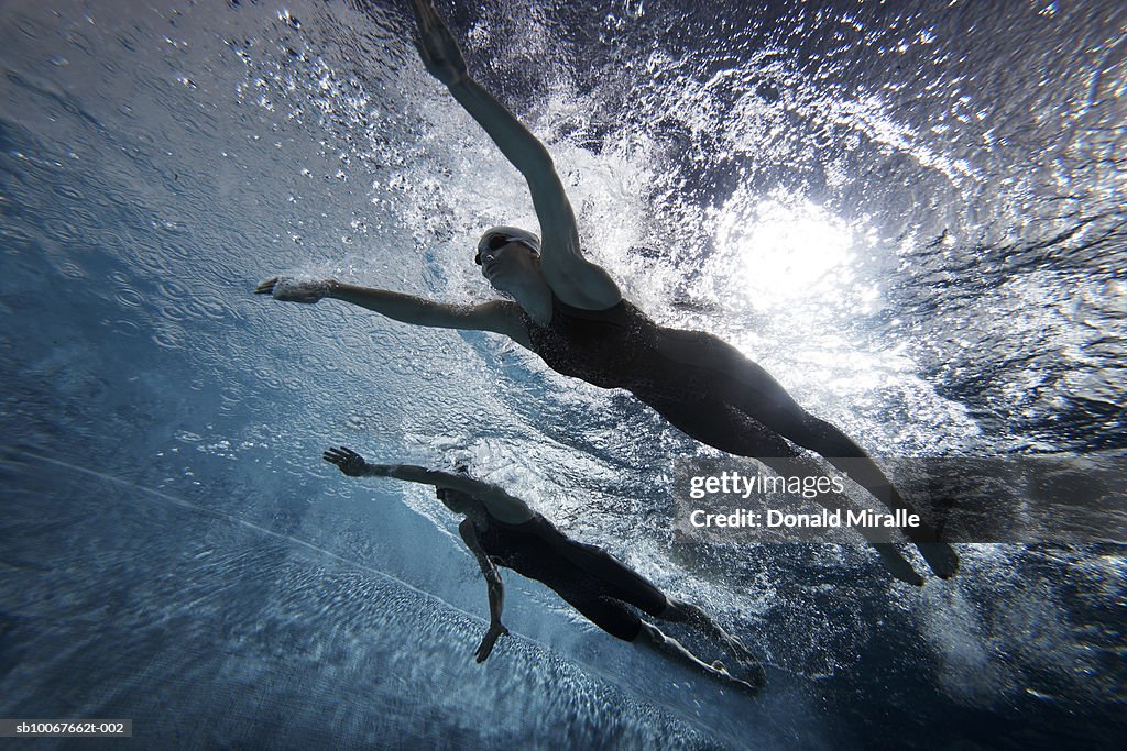 Underwater view of swimmers