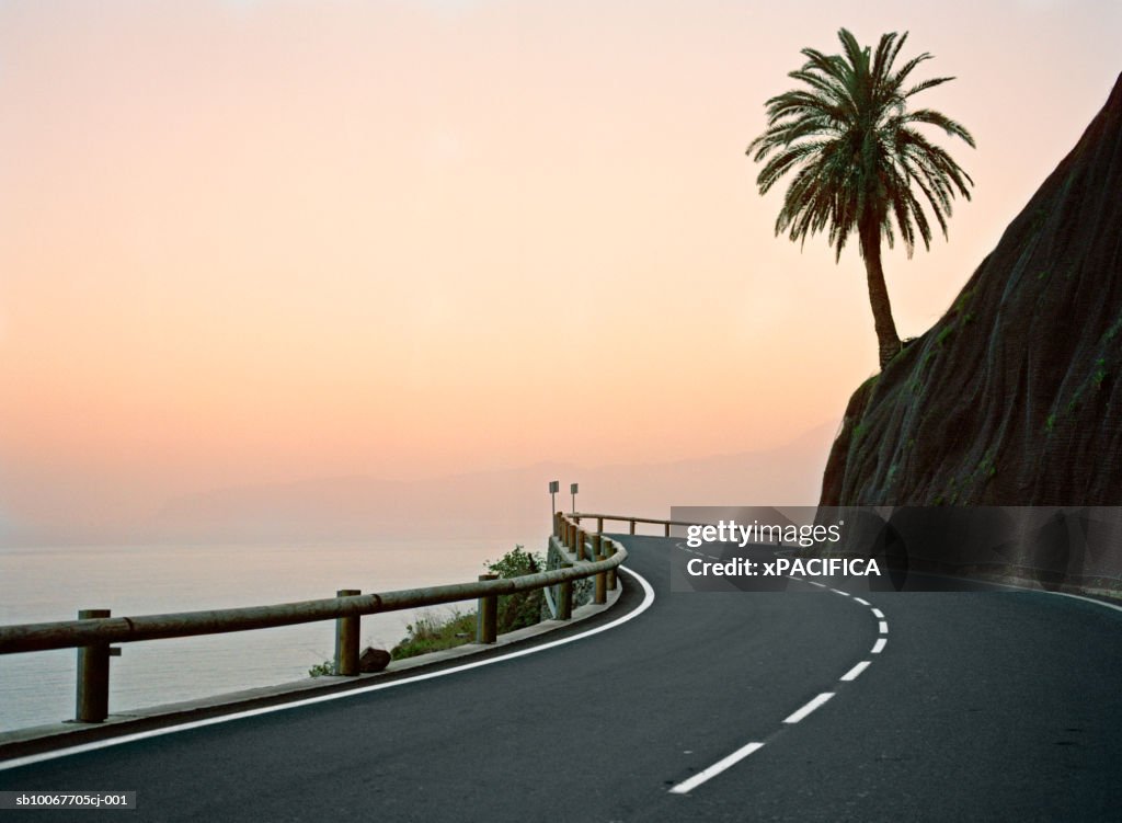 Canary Islands, La Gomera, silhouette of palm tree on coastal highway at sunset