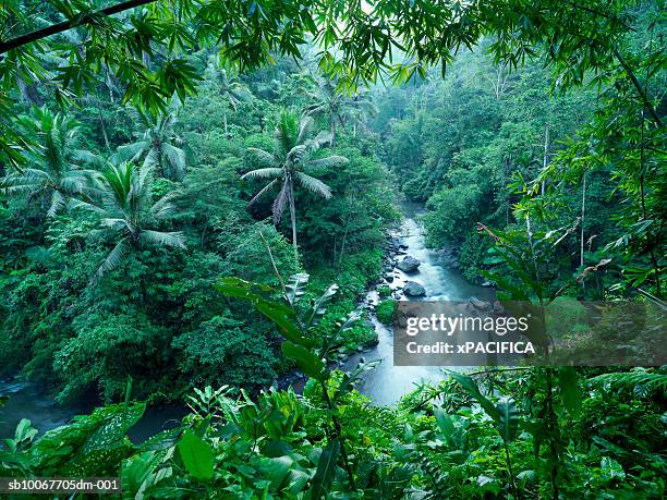 indonesia, bali, waterfall in jungle - bali waterfall stock pictures, royalty-free photos & images