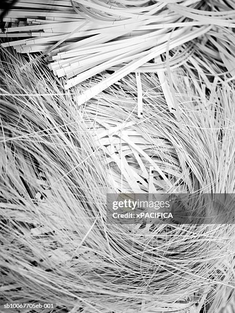 shredded paper, close-up - shredded paper stock pictures, royalty-free photos & images