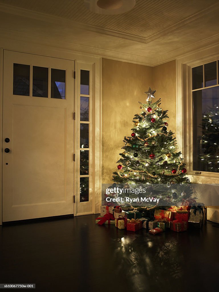 Illuminated Christmas tree in entrance hall