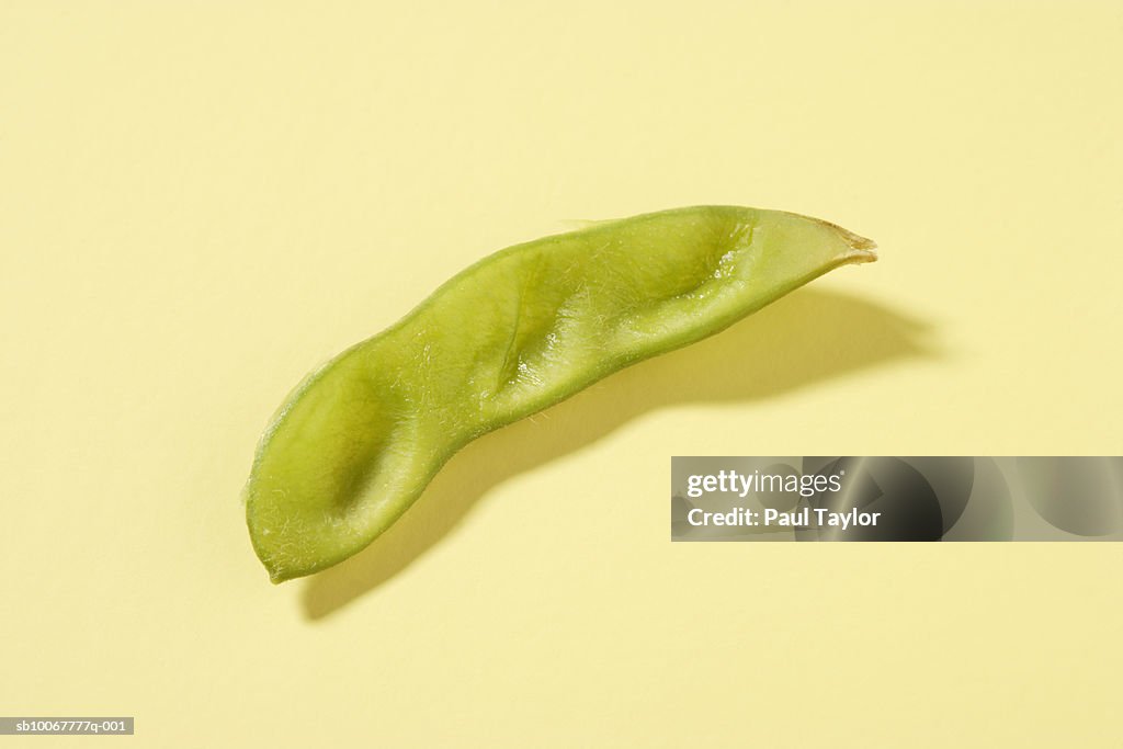 Edamame (soybean) pod