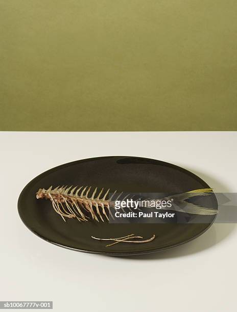 fish skeleton on plate - fish skeleton fotografías e imágenes de stock