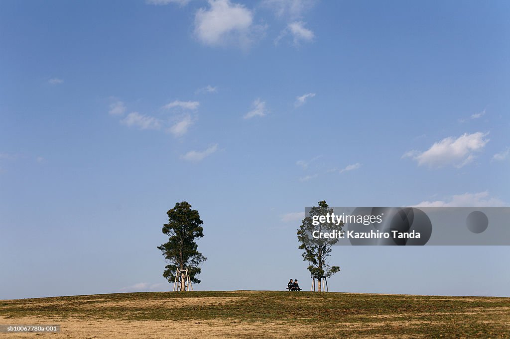 Couple sitting on bench between two trees on hill