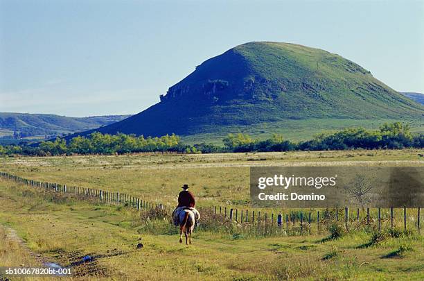 uruguay countryside, gaucho (cowboy) horseriding, rear view - gaucho stock pictures, royalty-free photos & images