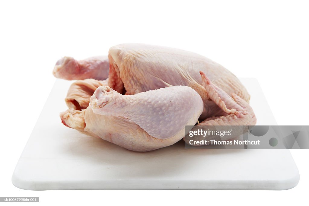 Studio shot of raw chicken