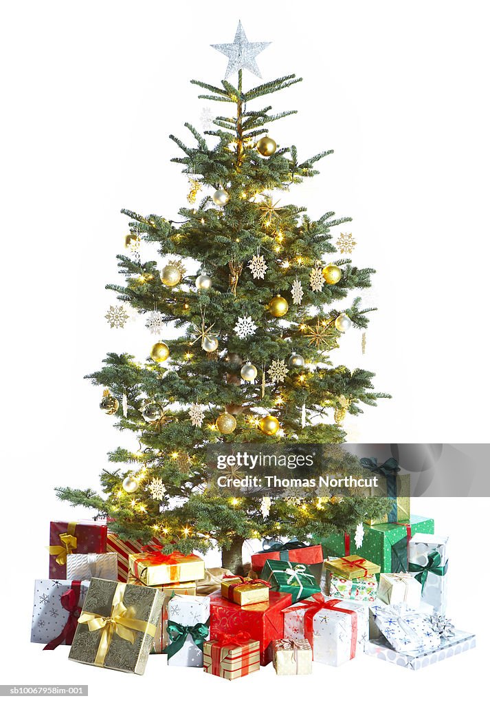 Christmas tree on white background