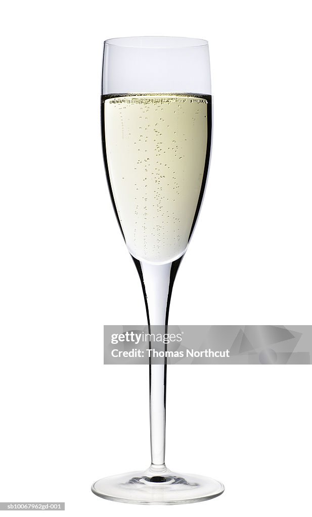 Champagne flute on white background