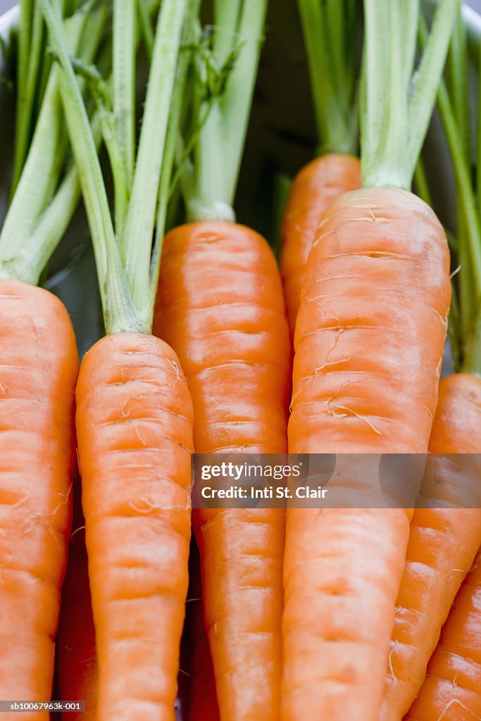 Carrots with stalks, close up