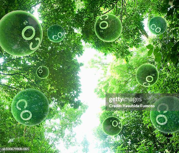 carbon dioxide molecules floating through trees (digital composite) - energieumwandlung stock-fotos und bilder