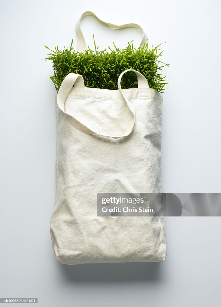 Canvas bag full of grass
