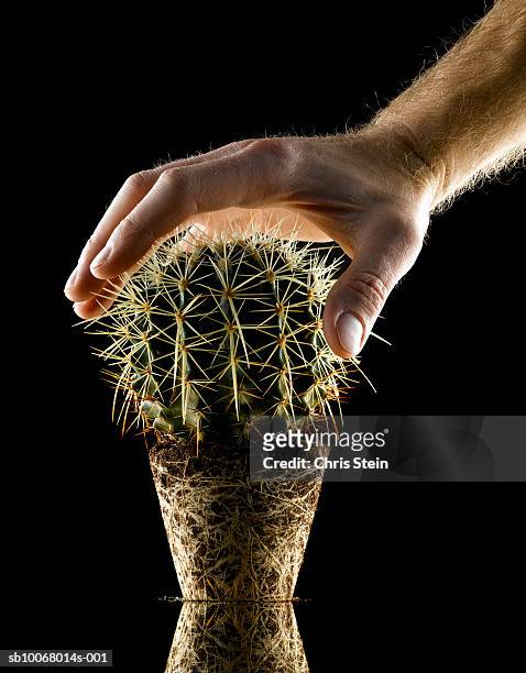hand reaching for cactus - chris dangerous stock pictures, royalty-free photos & images