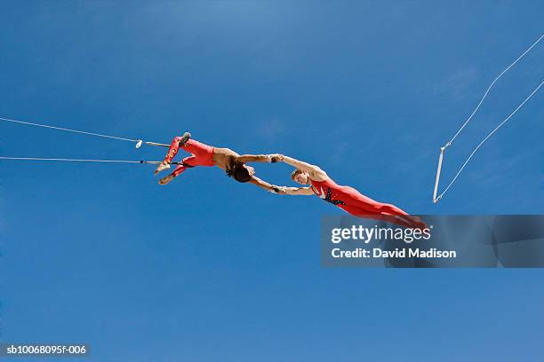 trapeze artists swinging towards one another, low angle view - zirkus stock-fotos und bilder