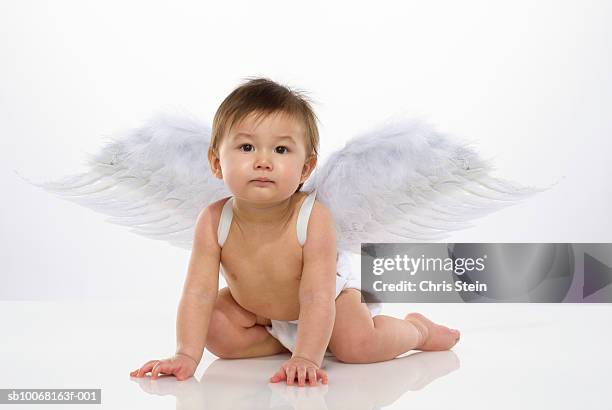 baby boy (6-11 months) with angel wings, studio portrait - baby angel fotografías e imágenes de stock