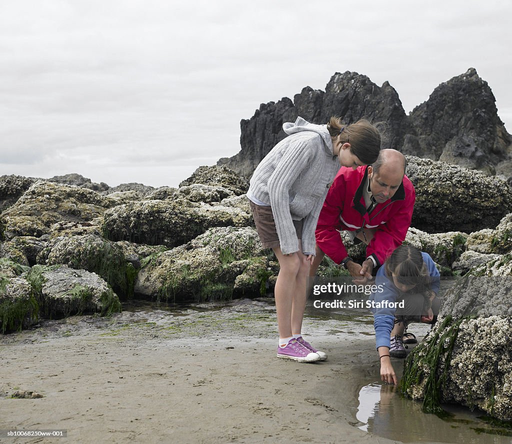 Padre con i bambini (8-13) ricerca marea piscina sulla spiaggia
