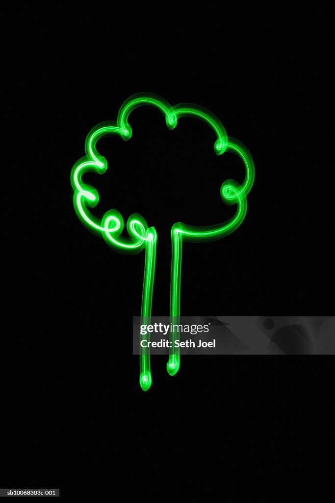 Green tree drawn with light
