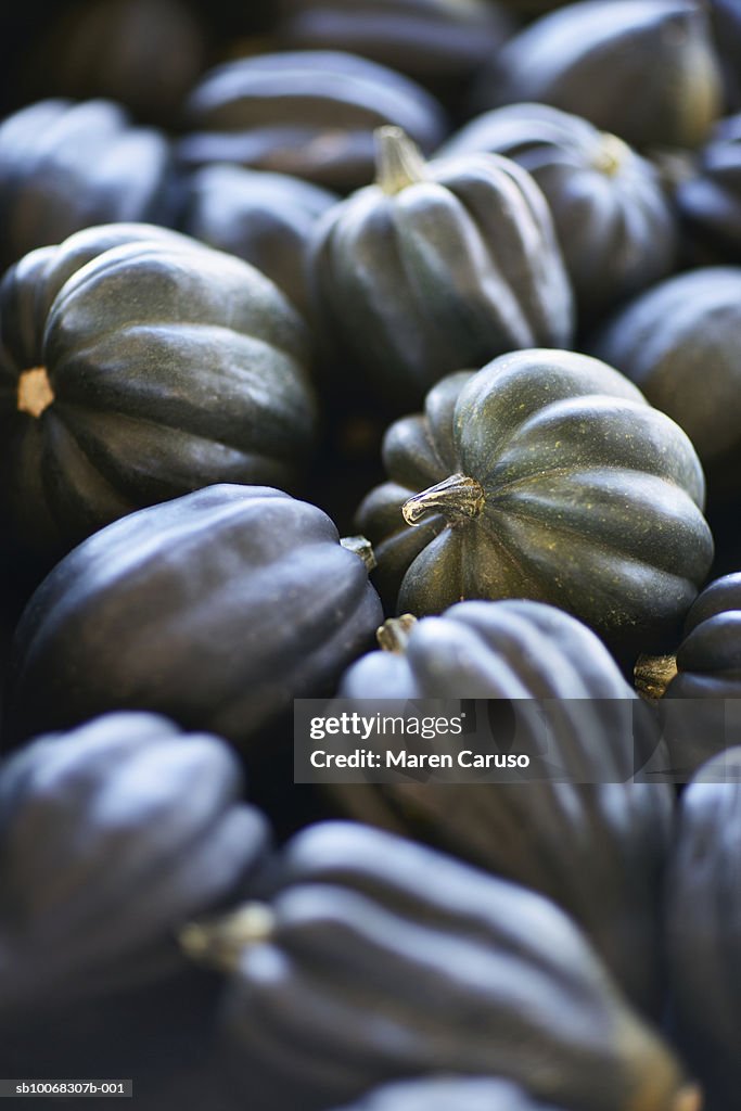 Pile of acorn squash, close-up