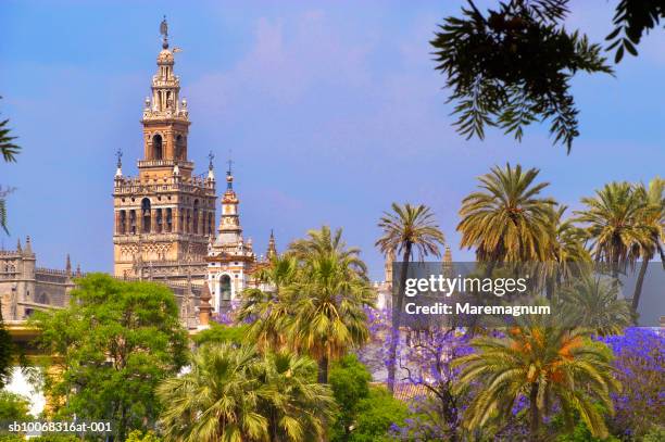 spain, seville, giralda tower from guadalquivir river - seville cathedral stock pictures, royalty-free photos & images