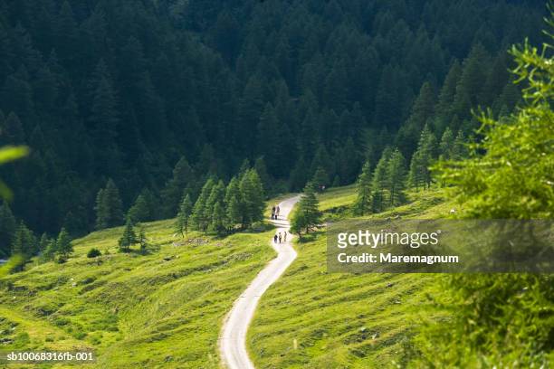italy, lombardia, valcamonica, distant view of people on road in valley - parco nazionale foto e immagini stock