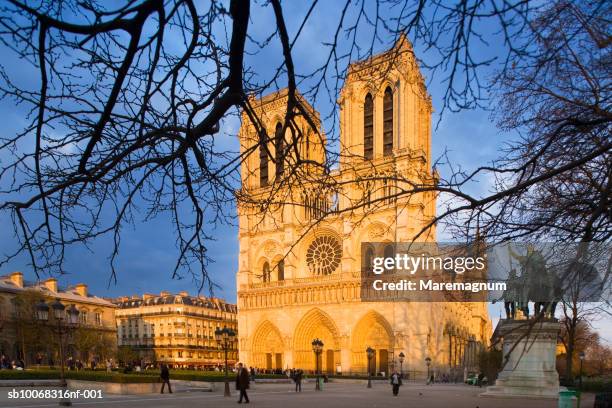 france, ile-de-france, paris, cathedral of notre-dame facade in sun - île de la cité foto e immagini stock