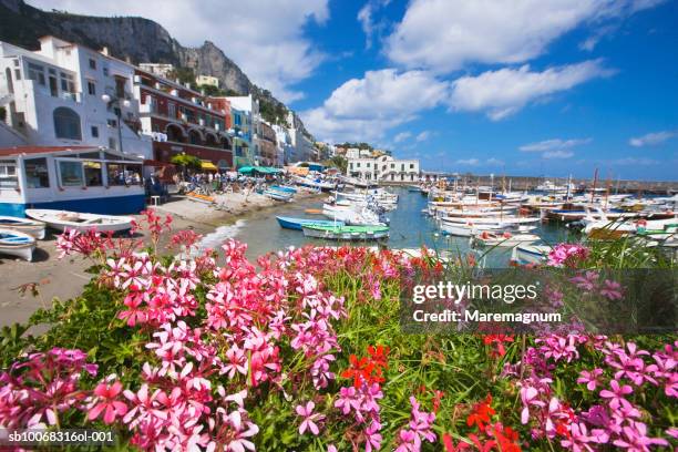 italy, campania, capri island, capri, marina grande - capri stock pictures, royalty-free photos & images