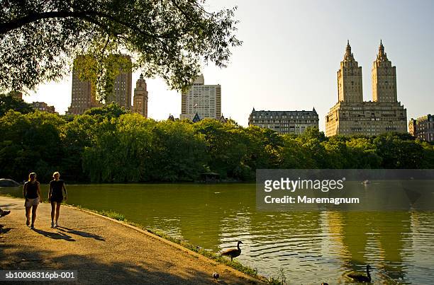 usa, new york, central park, couple walking by pond - panorama nyc day 2 foto e immagini stock