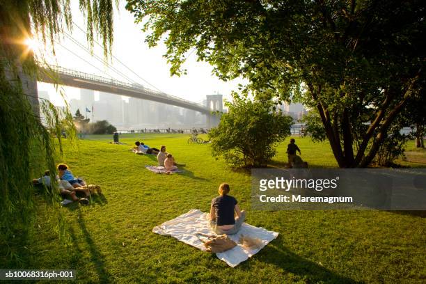 usa, new york, people relaxing in park with skyline from brooklyn - brooklyn new york stockfoto's en -beelden