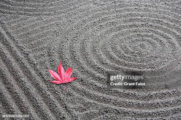 japan, kyoto, red japanese maple leaf on sand in zen garden - karesansui stock-fotos und bilder