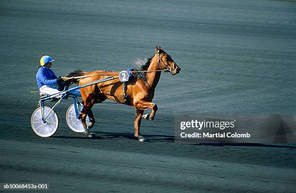 horse cart race, side view - harness racing stock pictures, royalty-free photos & images