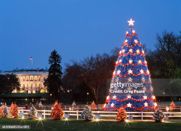 usa, washington dc,  illuminared christmas tree with white house in background - white house washington dc fotografías e imágenes de stock