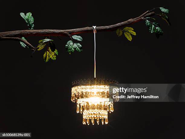 chandelier hanging from tree branch, illuminated at night - chandelier stock pictures, royalty-free photos & images