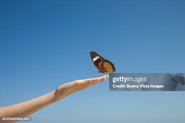 butterfly resting on female hand extended against clear sky - butterfly hand stock-fotos und bilder