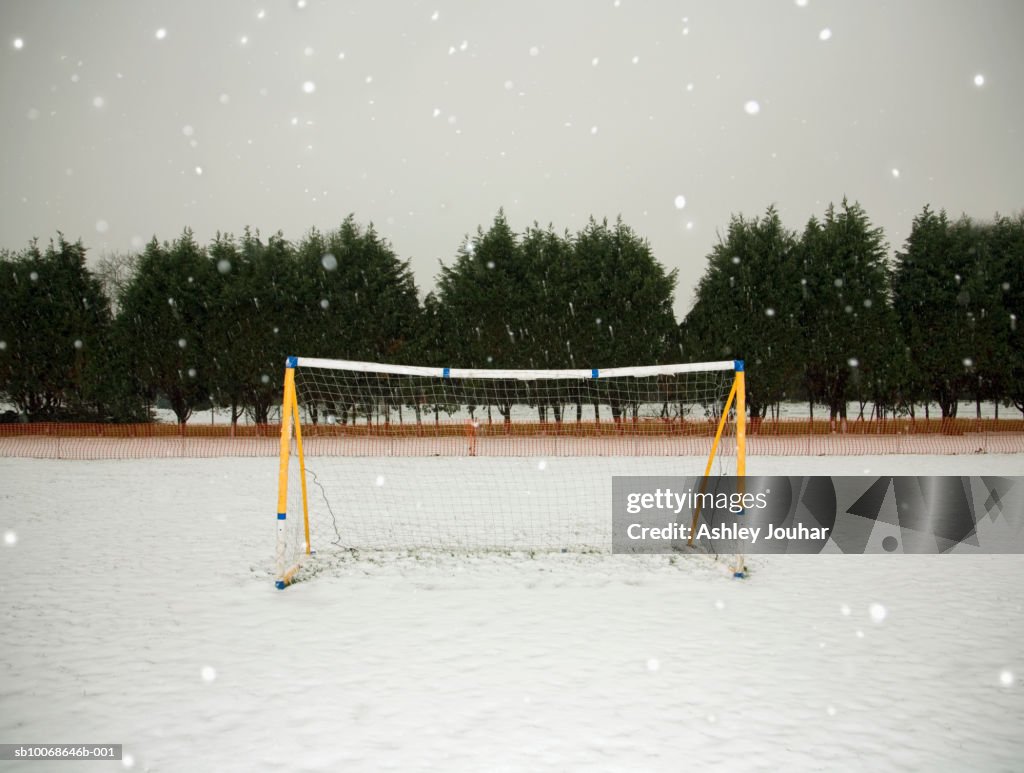 Soccer net in winter