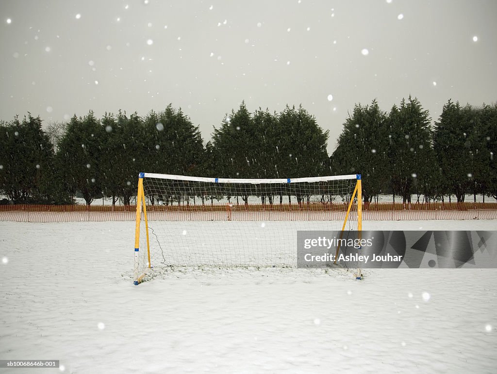 Soccer net in winter