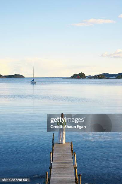 woman standing on pier by lake, rear view - oslo stock pictures, royalty-free photos & images