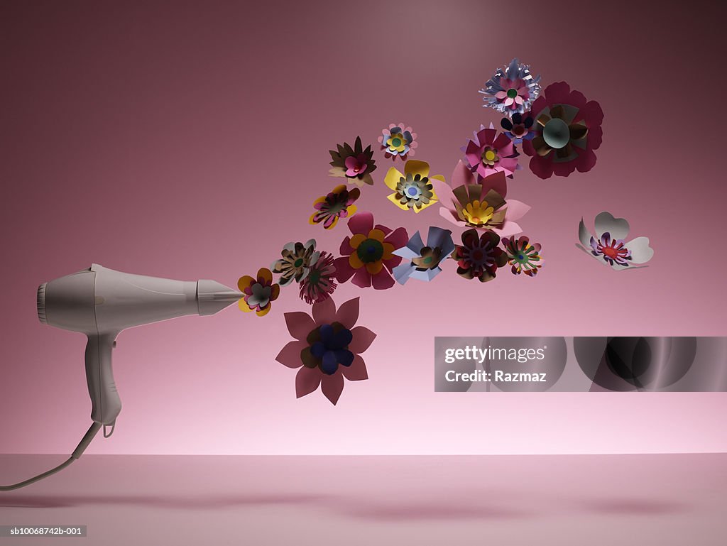 Hairdryer drying artificial flower, close-up