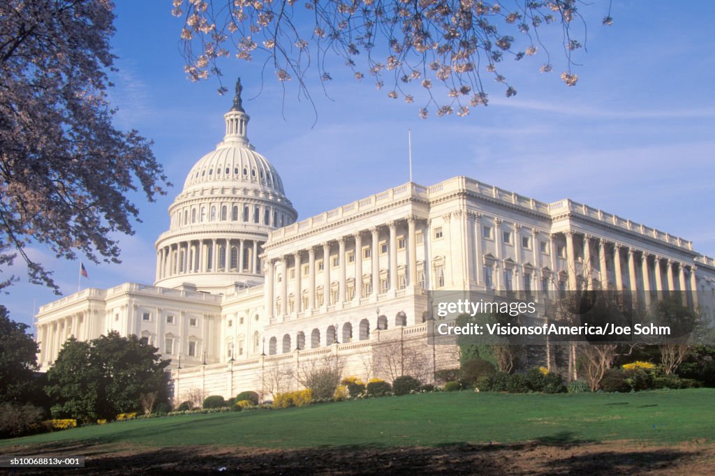 USA, Washington, Washington D.C., United States Capitol Building