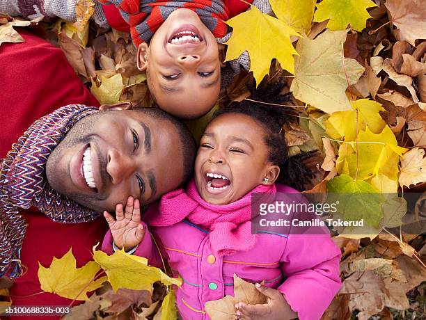 father with son and daughter (2-5) lying on dry leaves, laughing, high angle view - black man high 5 stockfoto's en -beelden