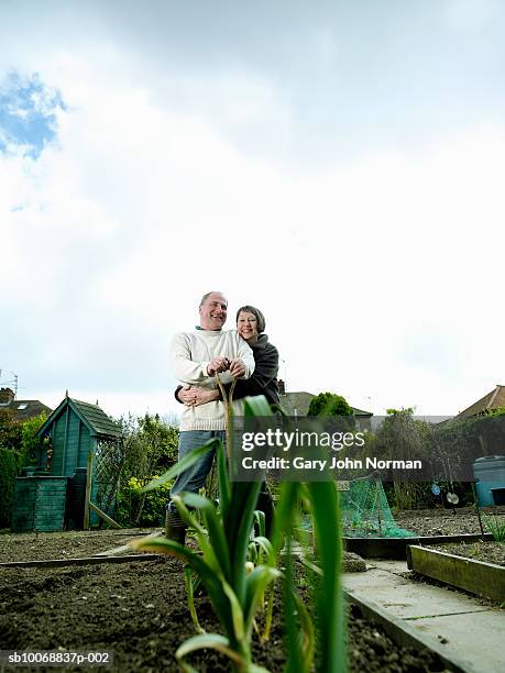 portrait of mature couple in garden, spring onion in foreground - king's lynn stock pictures, royalty-free photos & images