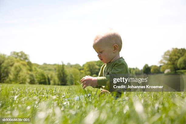 boy (12-17 months) playing in field - soltanto un neonato maschio foto e immagini stock