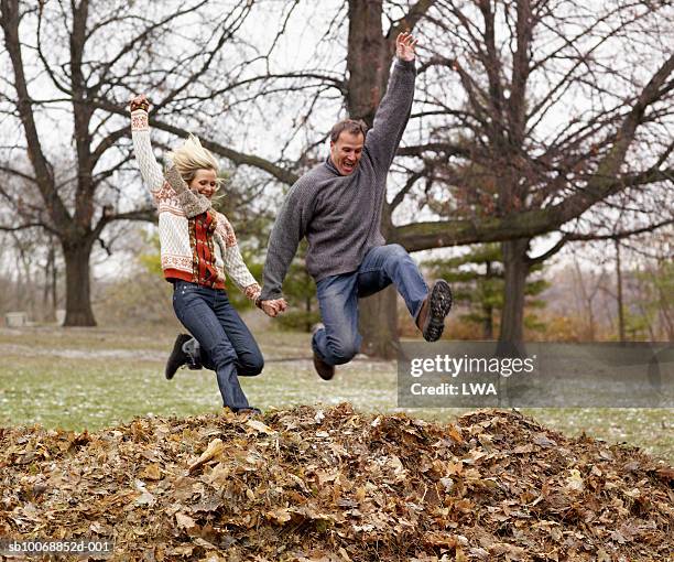 869 Jump Into Pile Of Leaves Stock Photos High Res Pictures And 869-jump-into-pile-of-leaves-stock-photos-high-res-pictures-and