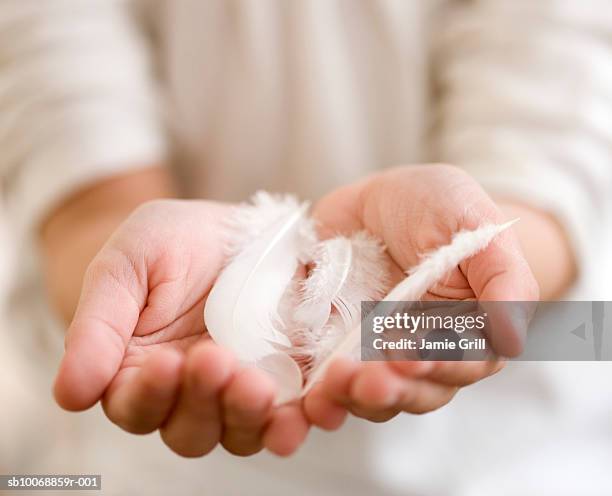 child's hands holding feathers, close-up, mid section - plumes blanches photos et images de collection