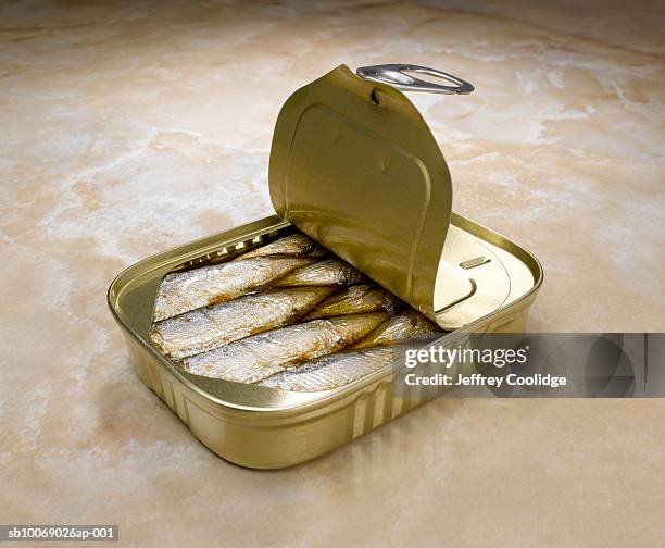 open sardine can, studio shot - sardinas stock pictures, royalty-free photos & images