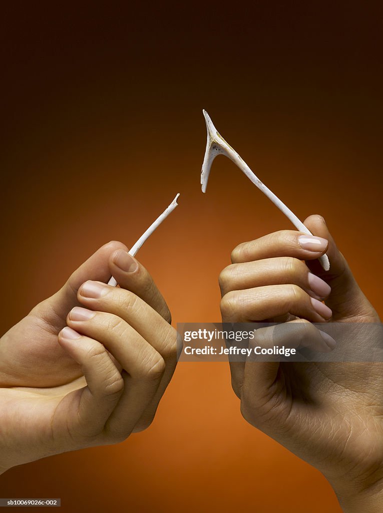 Male and female hands breaking wishbone, studio shot