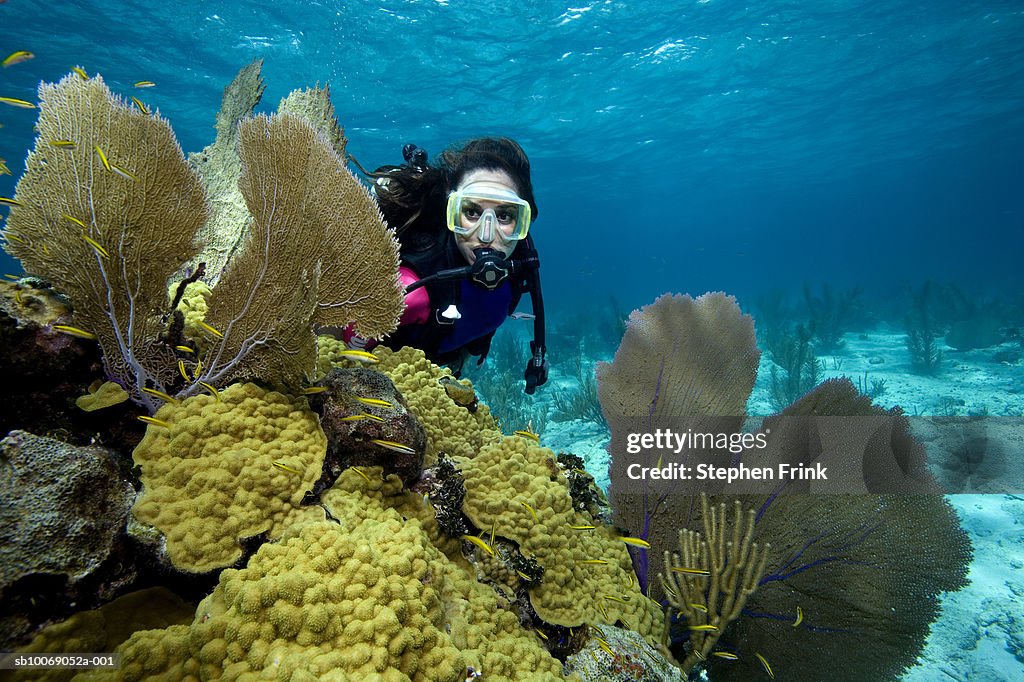 Female scuba diver on coral reef