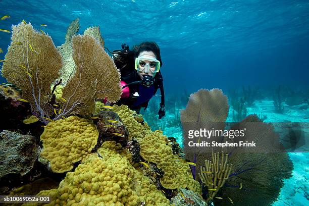 female scuba diver on coral reef - diver foto e immagini stock