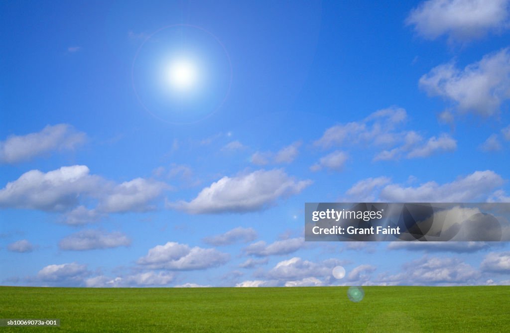 Sun shining over grassy field